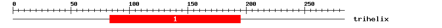 Signature Domain