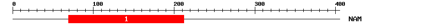 Signature Domain