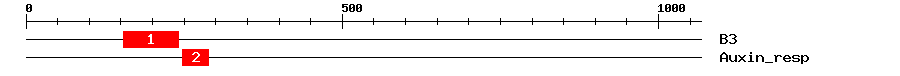 Signature Domain