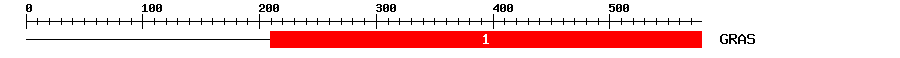 Signature Domain