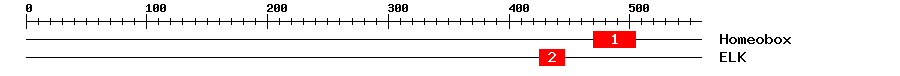 Signature Domain