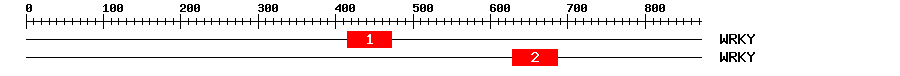 Signature Domain