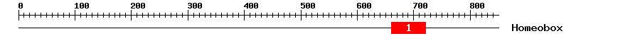 Signature Domain