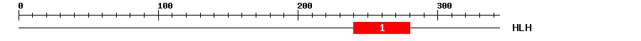 Signature Domain