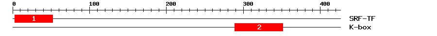 Signature Domain