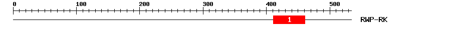 Signature Domain
