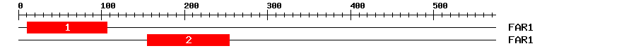 Signature Domain