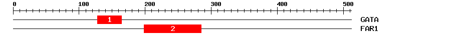 Signature Domain