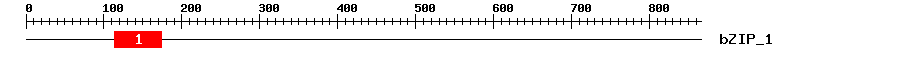 Signature Domain