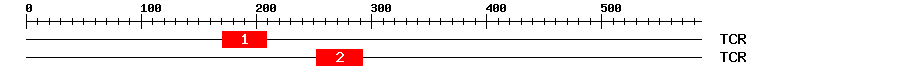 Signature Domain