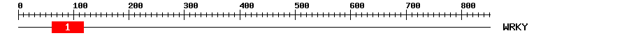 Signature Domain
