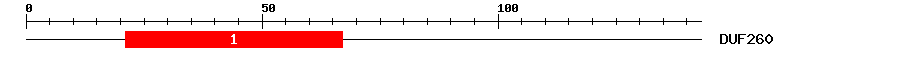 Signature Domain