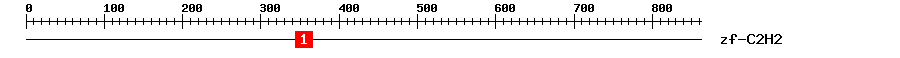 Signature Domain
