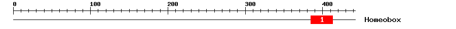 Signature Domain