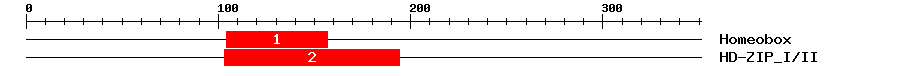 Signature Domain