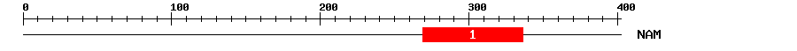 Signature Domain
