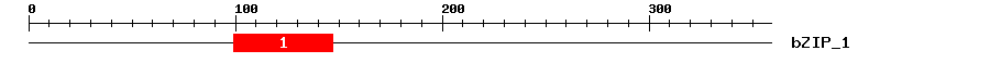 Signature Domain