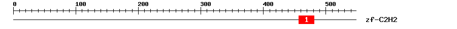 Signature Domain