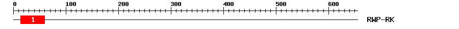 Signature Domain