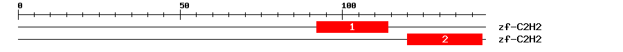 Signature Domain
