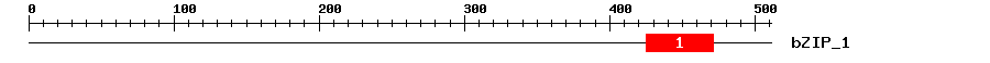 Signature Domain