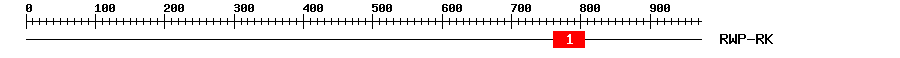 Signature Domain