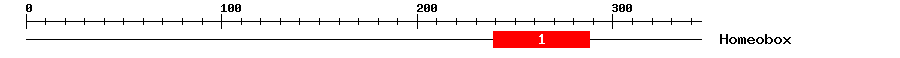 Signature Domain