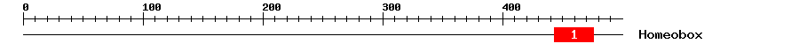 Signature Domain