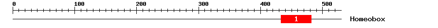 Signature Domain