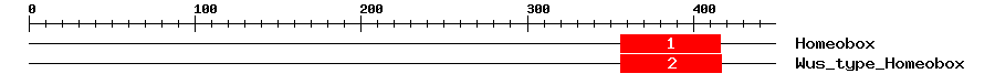 Signature Domain