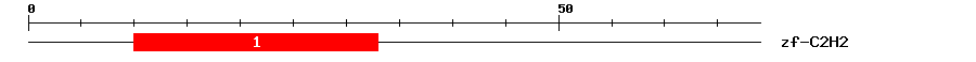 Signature Domain