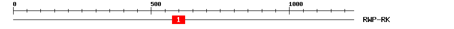 Signature Domain