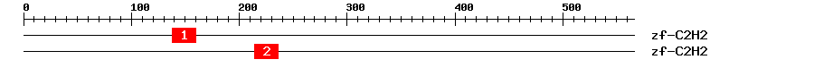 Signature Domain