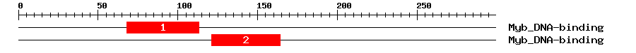 Signature Domain