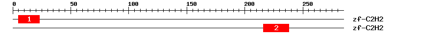 Signature Domain