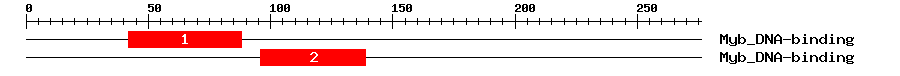 Signature Domain