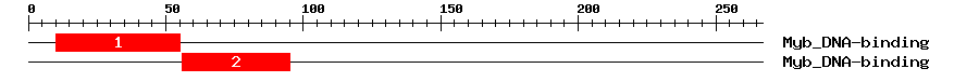Signature Domain