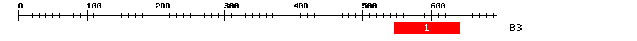 Signature Domain