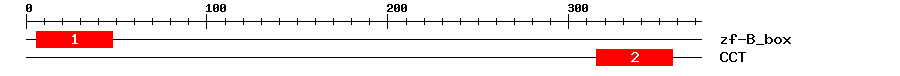 Signature Domain