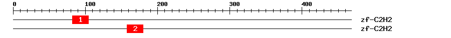 Signature Domain