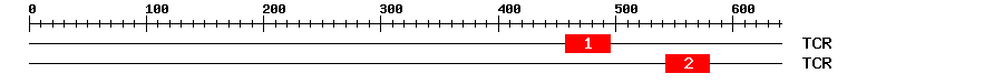 Signature Domain