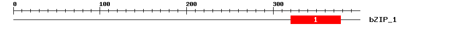 Signature Domain