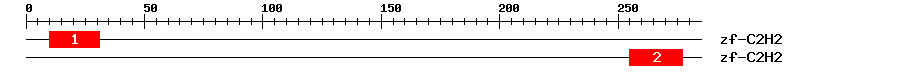 Signature Domain