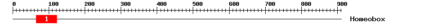 Signature Domain