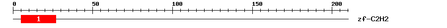 Signature Domain