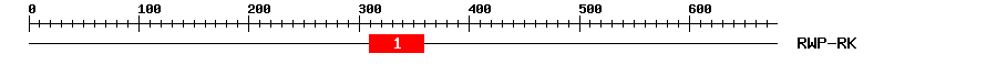 Signature Domain