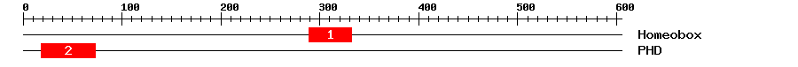 Signature Domain