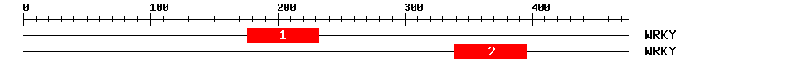 Signature Domain