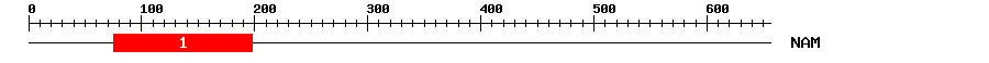 Signature Domain