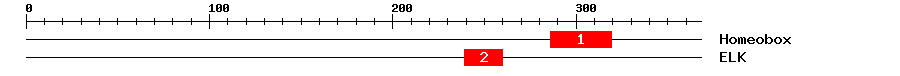 Signature Domain